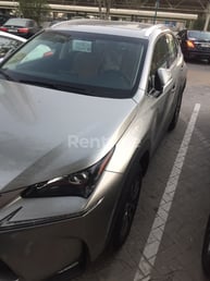 Silber LEXUS  NX 200 zur Miete in Sharjah 5