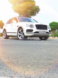 White Bentley Bentayga black edition w12 for rent in Abu-Dhabi 7