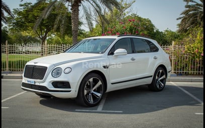 Blanco Bentley Bentayga en alquiler en Sharjah