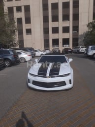 Blanco Chevrolet Camaro en alquiler en Abu-Dhabi 9