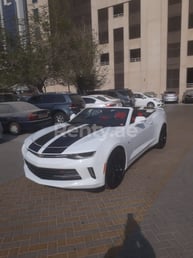 Blanco Chevrolet Camaro en alquiler en Dubai 11