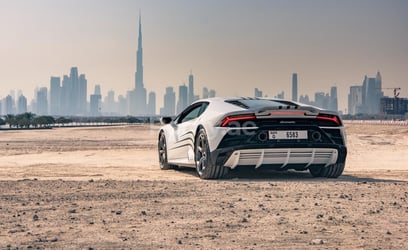 White Lamborghini Evo for rent in Dubai 1