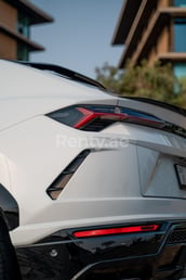 White Lamborghini Urus for rent in Dubai 0