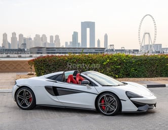 Blanc McLaren 570S Spyder (Convertible) en location à Sharjah 2