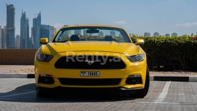 Yellow Ford Mustang GT convert. for rent in Dubai 6