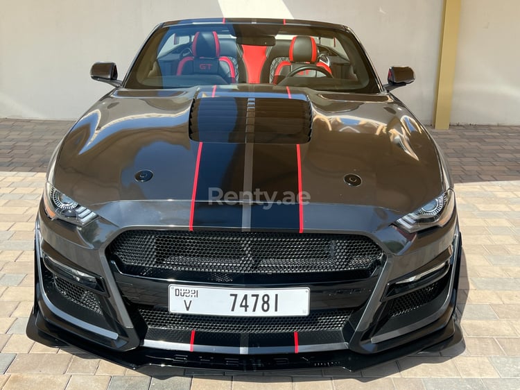 Grau Ford Mustang 5.0l V8 GT500 SHELBY KIT zur Miete in Dubai 2