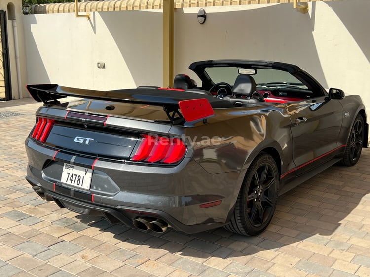 Grey Ford Mustang 5.0l V8 GT500 SHELBY KIT for rent in Dubai 6