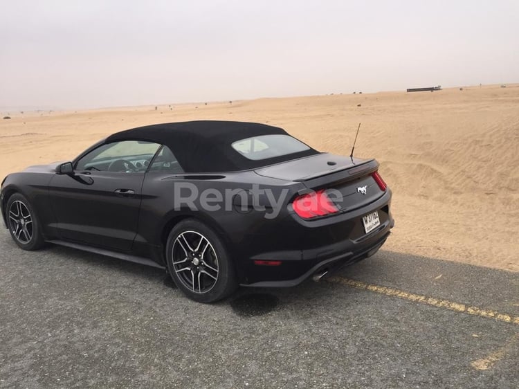 在迪拜租赁黑色 Ford Mustang Convertible 4