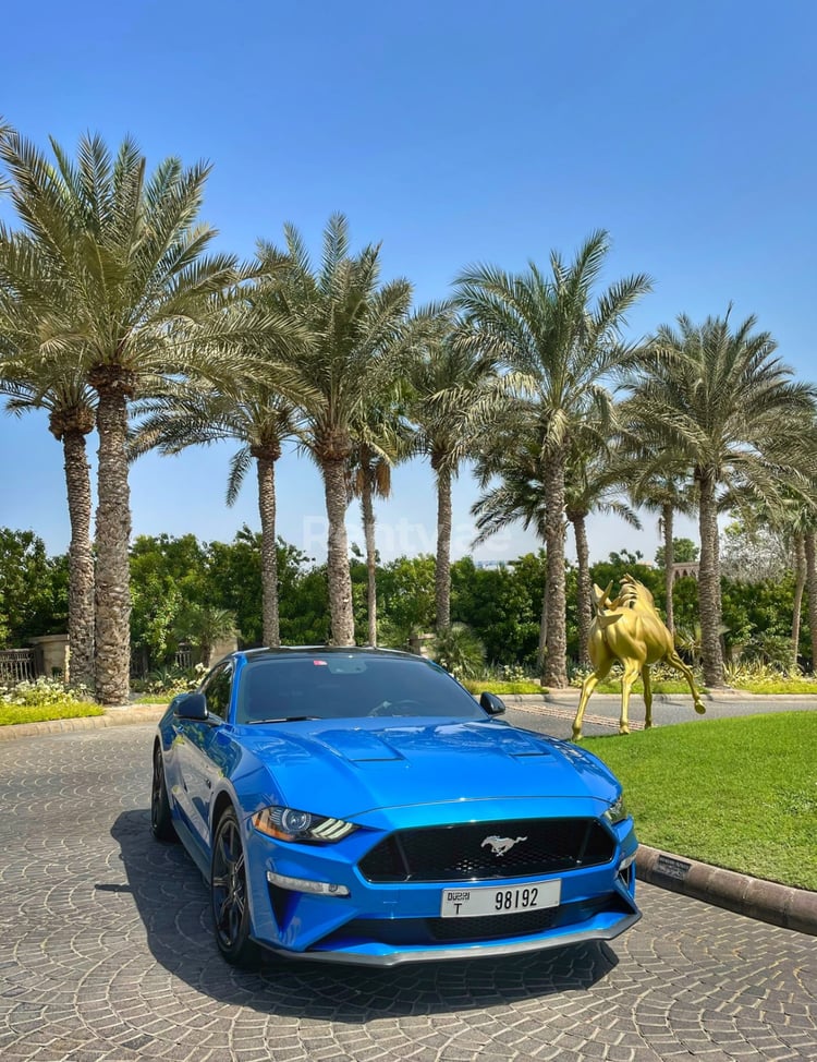 Blue Ford Mustang GT Premium V8 for rent in Abu-Dhabi 3