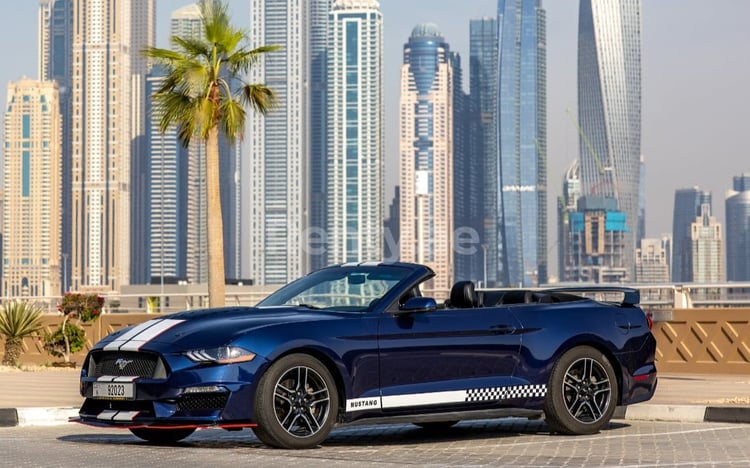 Blau Ford Mustang Cabrio zur Miete in Abu-Dhabi