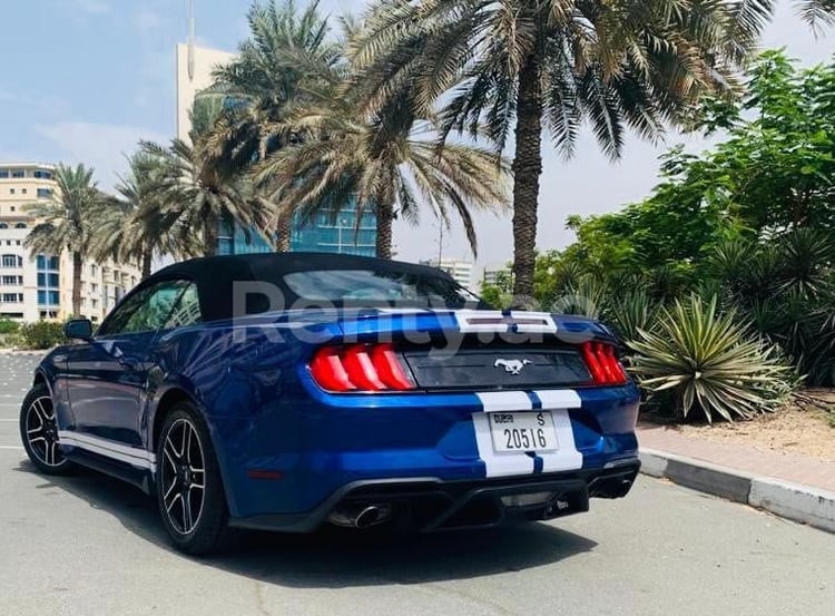 Blue Ford Mustang for rent in Dubai 2