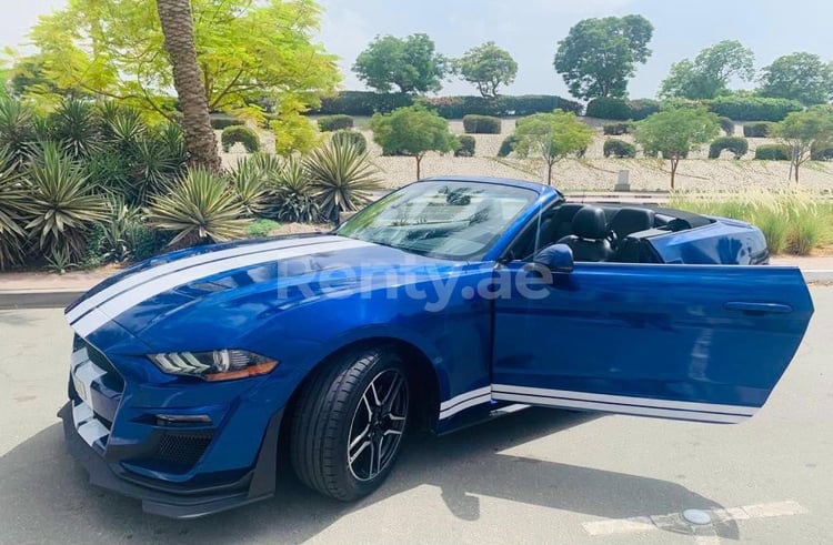 在阿布扎比租赁蓝色 Ford Mustang 4