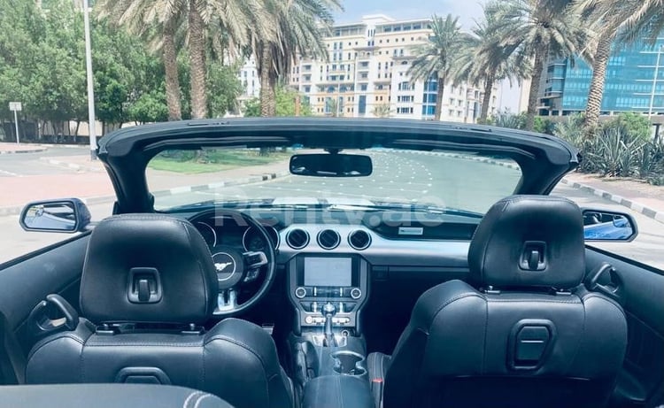 Bleue Ford Mustang en location à Sharjah 5