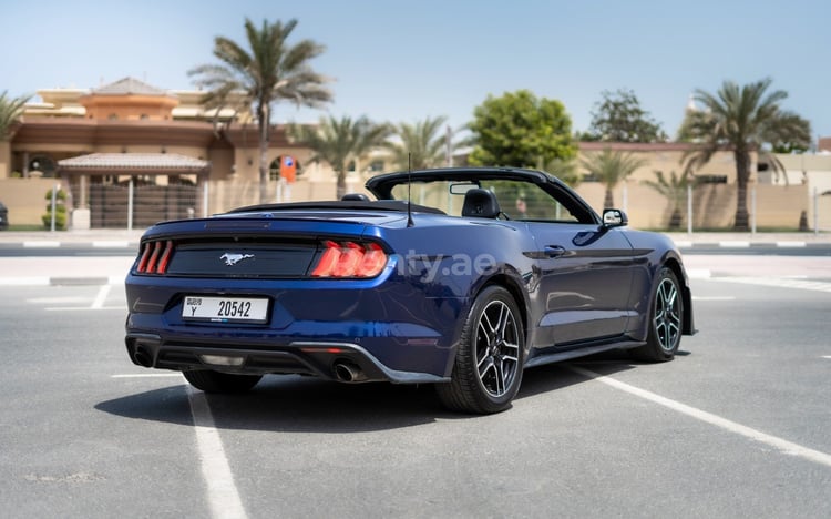 Dunkelblau Ford Mustang cabrio zur Miete in Abu-Dhabi 1