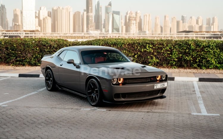 在阿布扎比租赁深灰色 Dodge Challenger