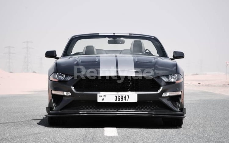 在沙迦租赁深灰色 Ford Mustang cabrio V8