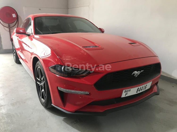 Rosso Ford Mustang in affitto a Sharjah 1