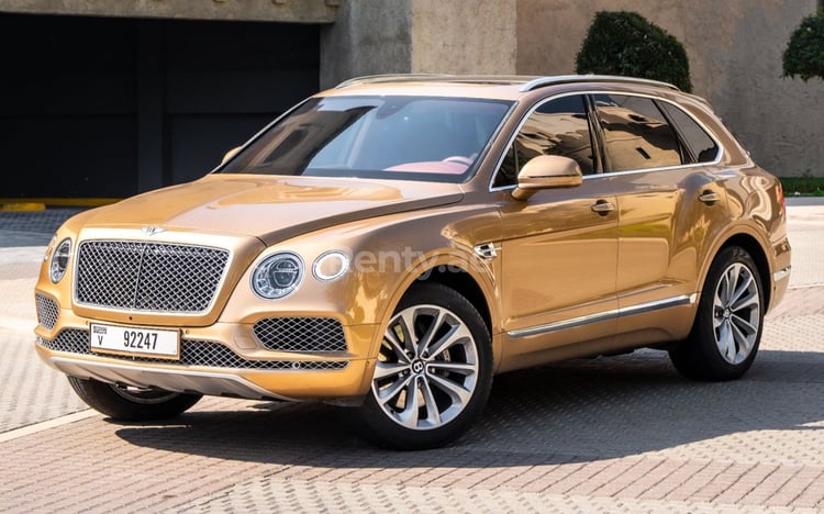 Gold Bentley Bentayga for rent in Abu-Dhabi