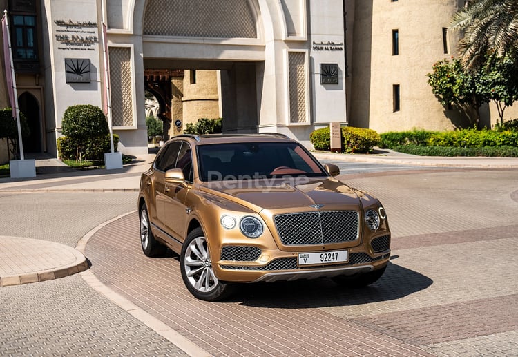 Gold Bentley Bentayga for rent in Abu-Dhabi 2