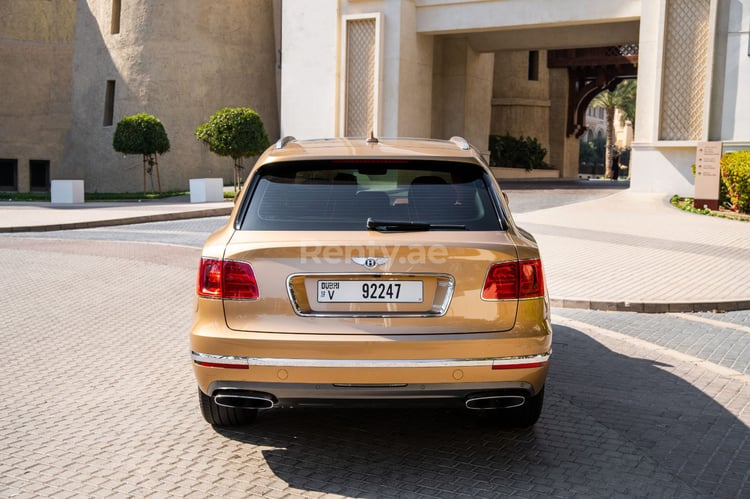 Gold Bentley Bentayga for rent in Abu-Dhabi 6