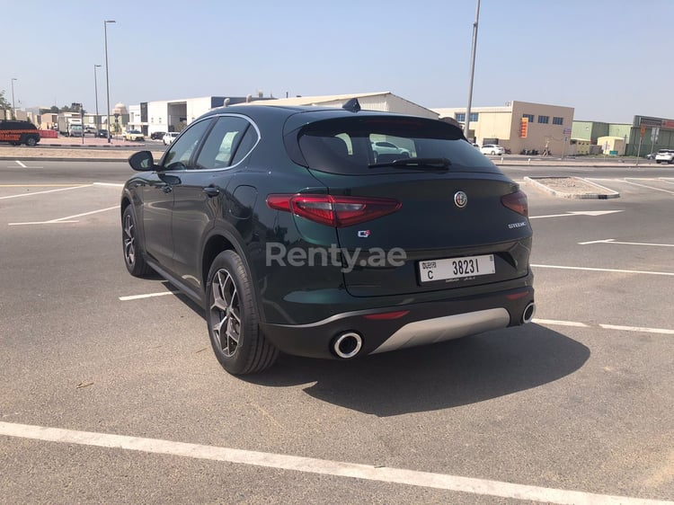 Green Alfa Romeo Stelvio for rent in Dubai 5