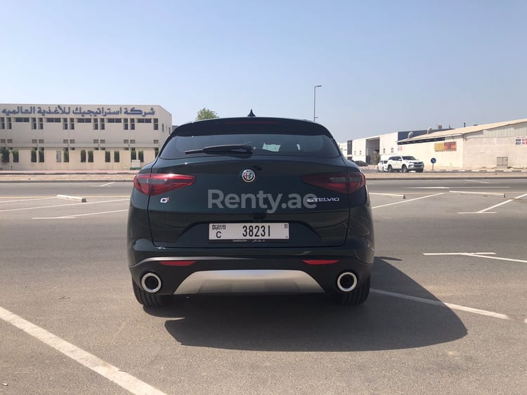 Grün Alfa Romeo Stelvio zur Miete in Dubai 7