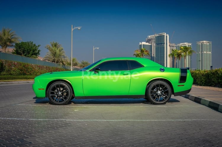 verde Dodge Challenger in affitto a Dubai 2