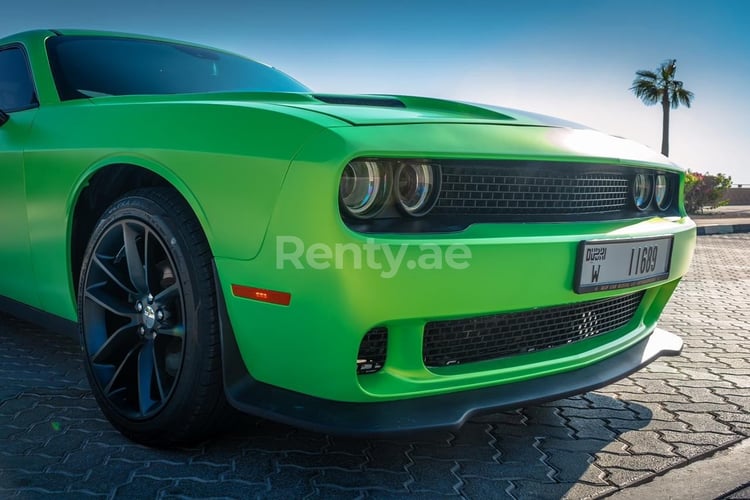 Green Dodge Challenger for rent in Dubai 5