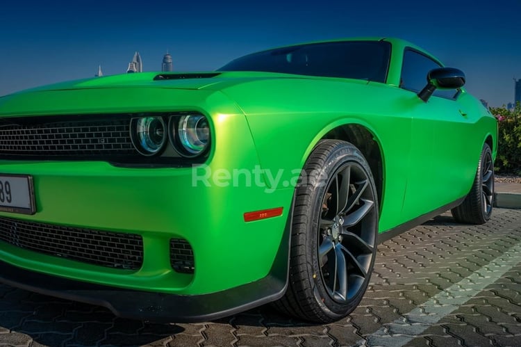 Green Dodge Challenger for rent in Dubai 6