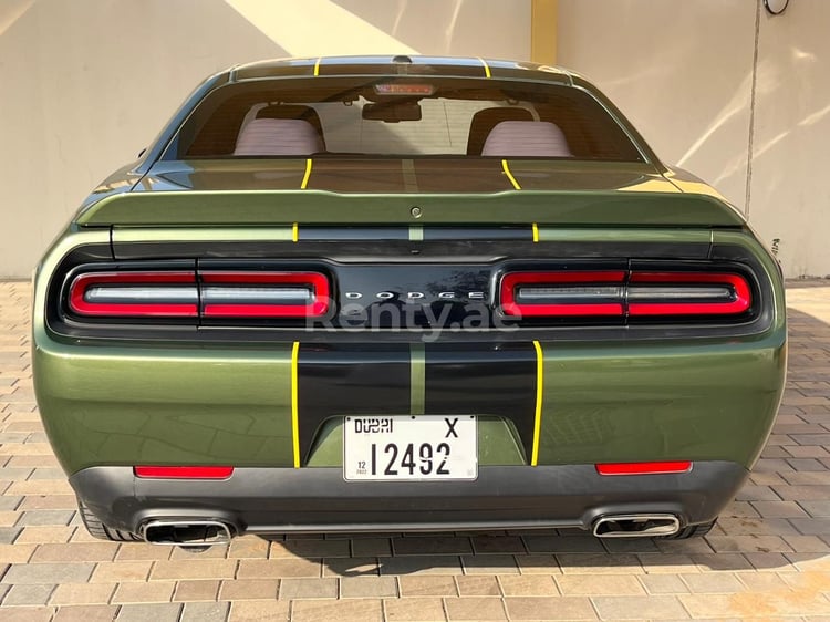 Green Dodge Challenger for rent in Abu-Dhabi 3