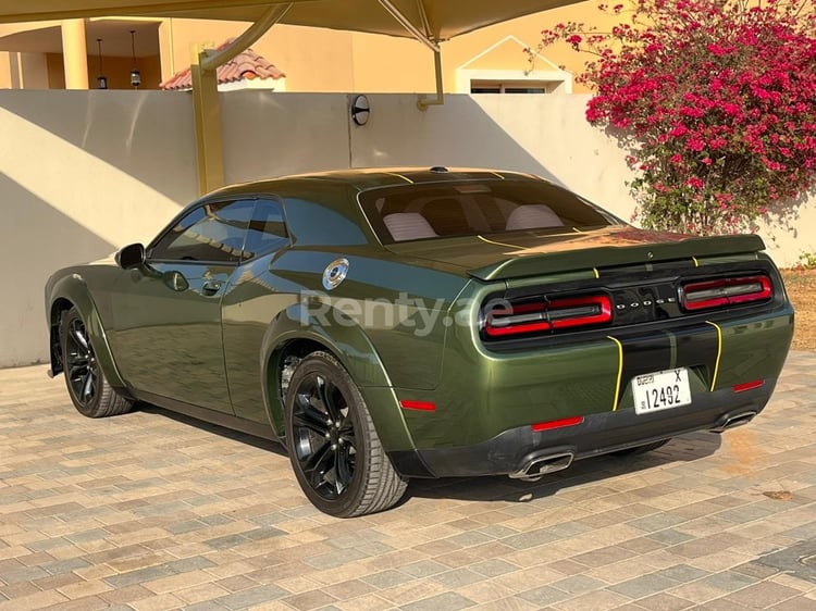 Grün Dodge Challenger zur Miete in Dubai 4