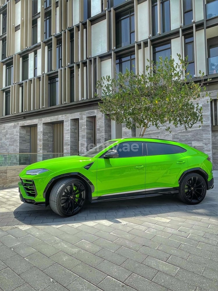 Grün Lamborghini Urus zur Miete in Dubai 2