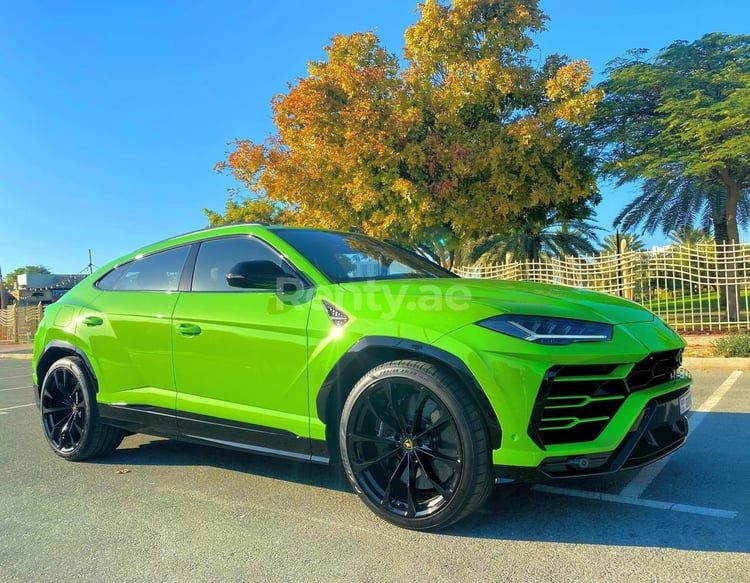 verde Lamborghini Urus in affitto a Dubai 0