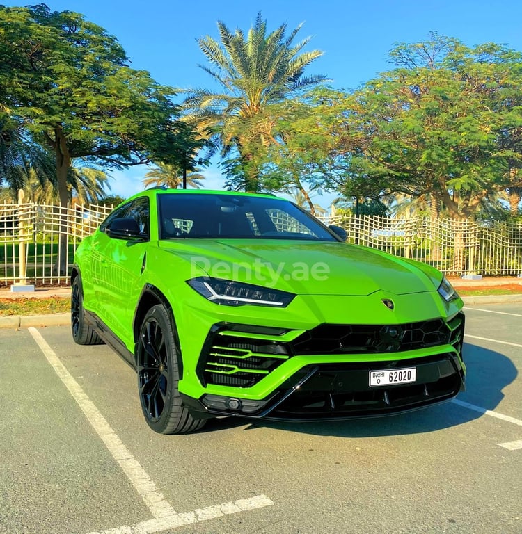 verde Lamborghini Urus in affitto a Dubai 3