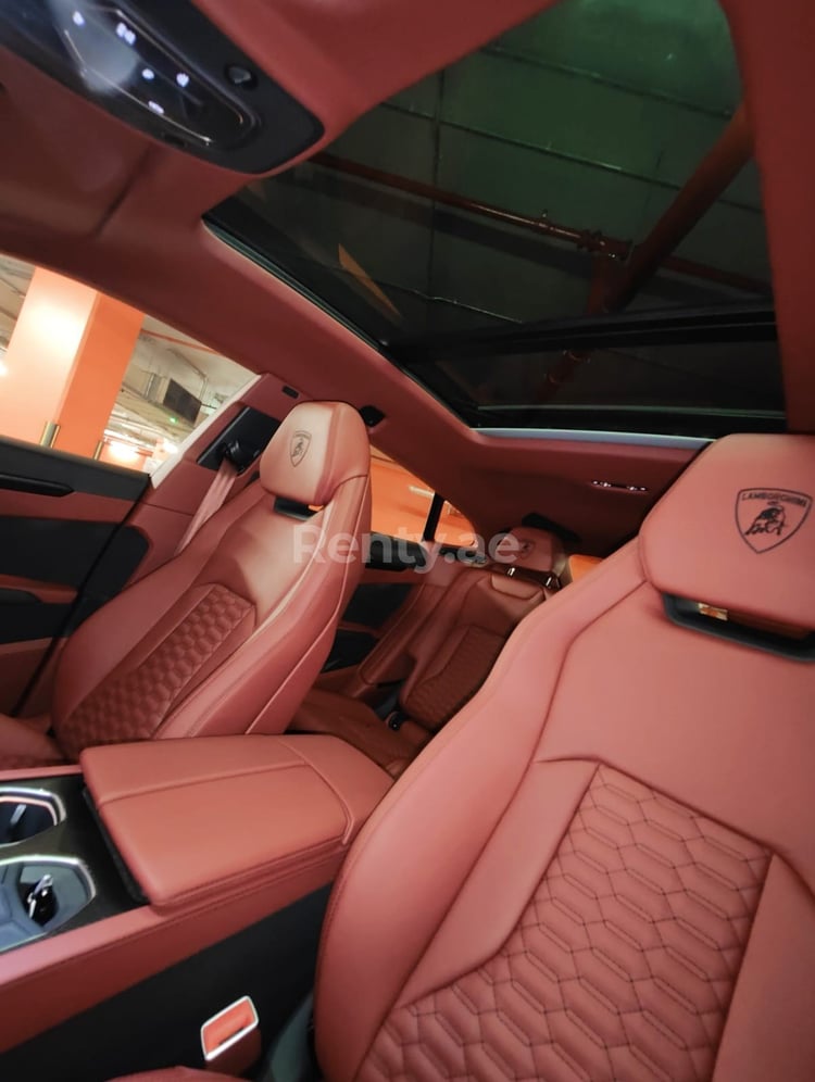 Grün Lamborghini Urus zur Miete in Dubai 2