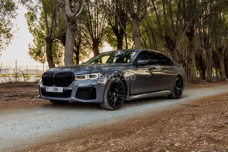 اللون الرمادي BMW 7 Series للإيجار في الشارقة 4