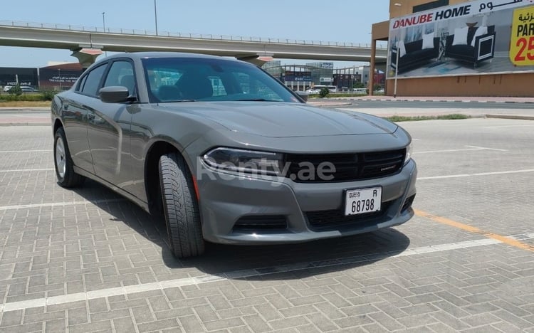 Grau Dodge Charger zur Miete in Dubai