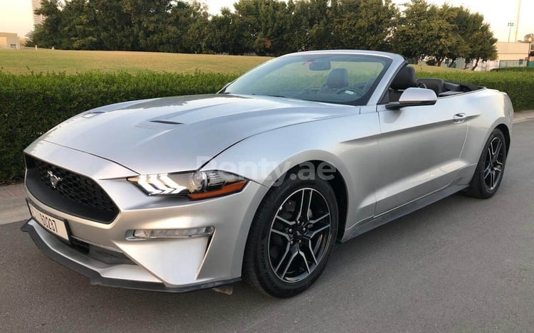 اللون الرمادي Ford Mustang للإيجار في أبو ظبي