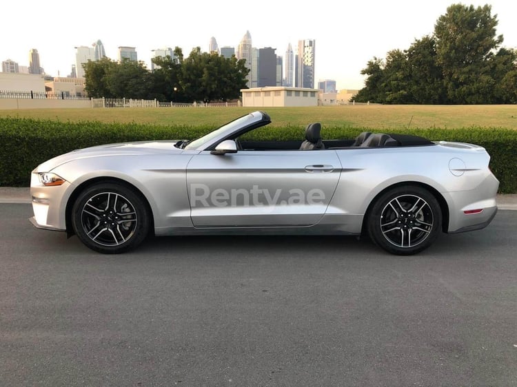 Gris Ford Mustang en alquiler en Sharjah 0