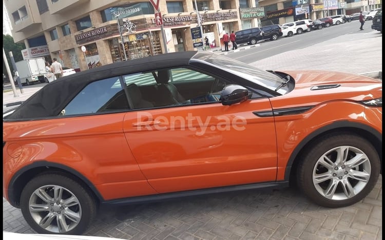 Orange Range Rover Evoque for rent in Abu-Dhabi