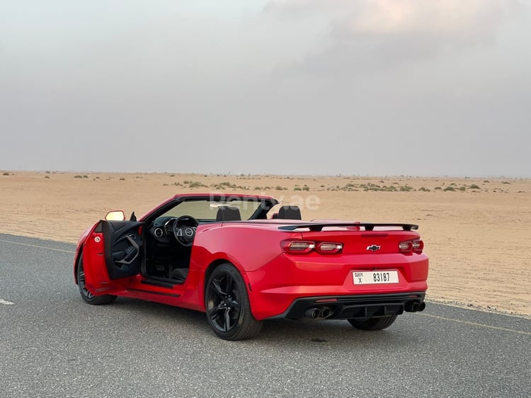 Red Chevrolet Camaro Convertible for rent in Sharjah 4