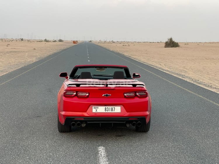 在迪拜租赁红色 Chevrolet Camaro Convertible 5