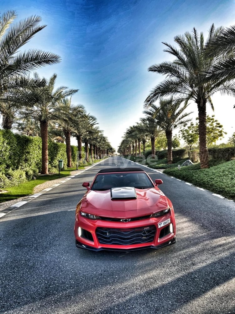 rojo Chevrolet Camaro en alquiler en Abu-Dhabi 2