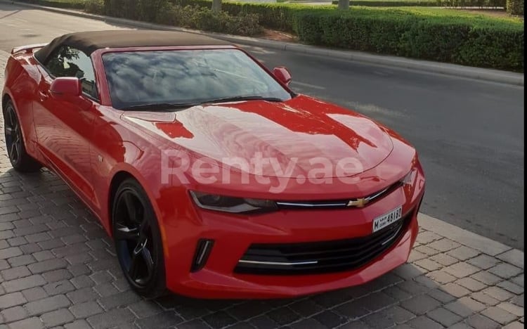 在迪拜租赁红色 Chevrolet Camaro