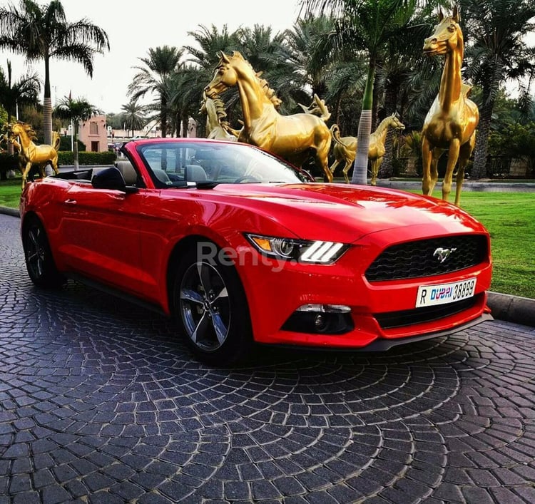 أحمر Ford Mustang Convertible للإيجار في أبو ظبي 3