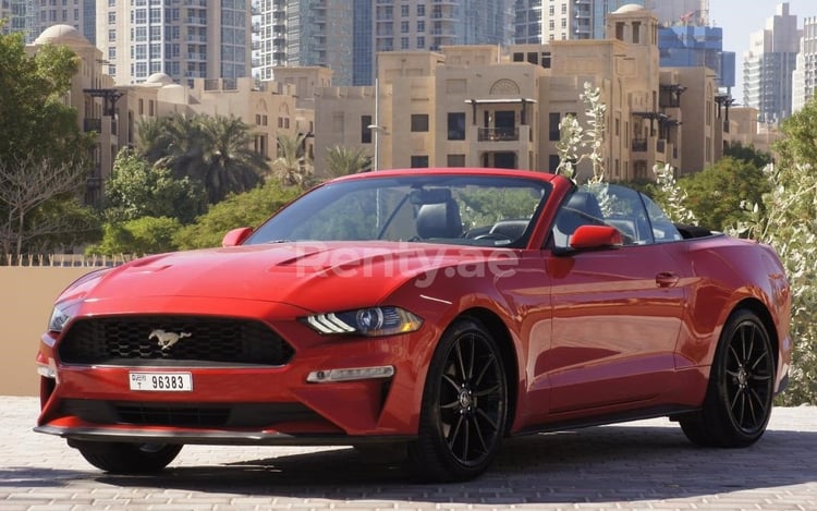 Rosso Ford Mustang in affitto a Abu-Dhabi