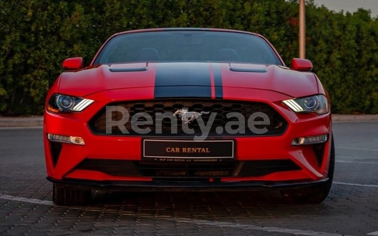 Rouge Ford Mustang Cabrio en location à Abu-Dhabi