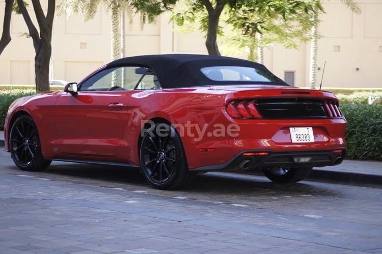 Red Ford Mustang for rent in Abu-Dhabi 0