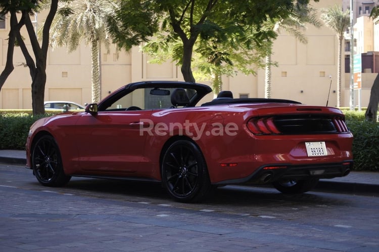 أحمر Ford Mustang للإيجار في أبو ظبي 3