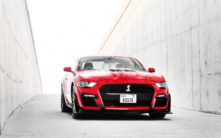 Rosso Ford Mustang in affitto a Abu-Dhabi